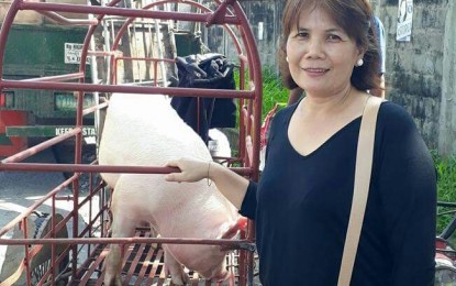 <p><strong>SWINE RECIPIENT</strong>. A hog raisers association member receives a head of swine from the Provincial Veterinary Office of Negros Occidental on Wednesday (April 4, 2018).<em> (Photo courtesy of Negros Occidental Provincial Veterinary Office)</em></p>
<p><em> </em></p>